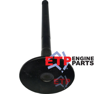 Exhaust Valve for Toyota 1KZTE