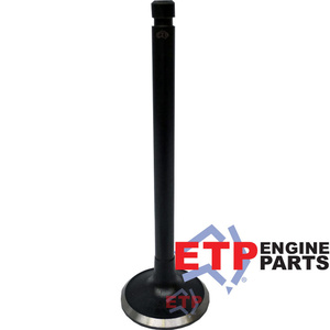Exhaust Valve for Nissan TB42